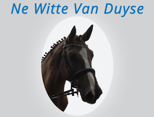 Paardenmelkerij Van Duyse